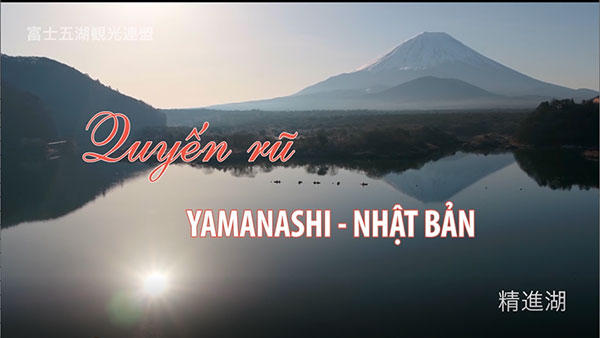 quyến rũ Yamanashi Nhật Bản (魅力的な日本の山梨県)